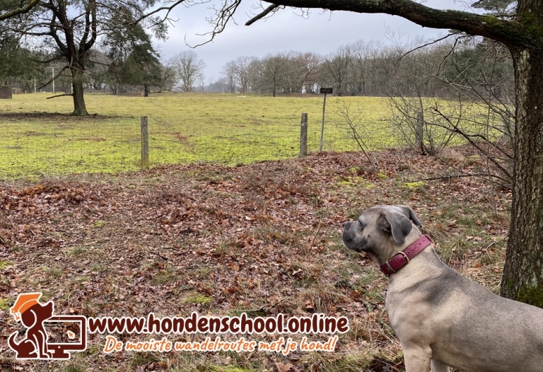 Losloopgebied Drentsche Aa te Annen, Drenthe