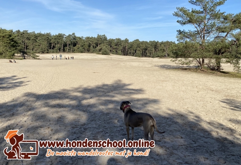 Wandelroutes Sahara te Ommen