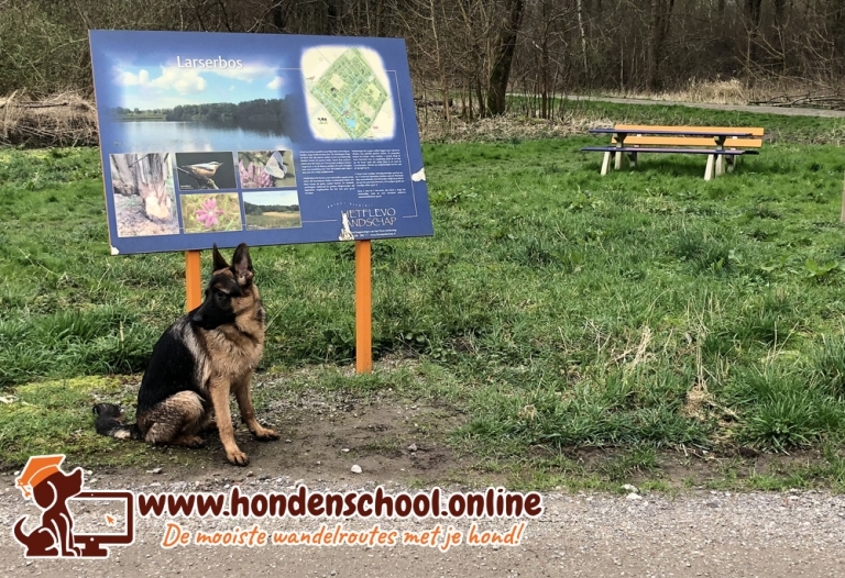 Losloopgebied Larserbos Lelystad Flevoland