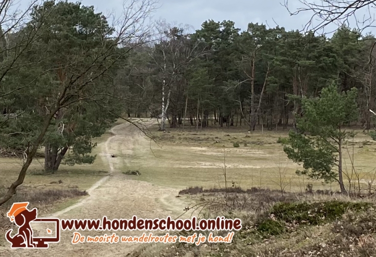 Losloopgebied Huizen / Blaricum 't Gooi Noord Holland