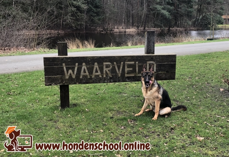 Losloopgebied buitengebied Haaksbergen Overijssel