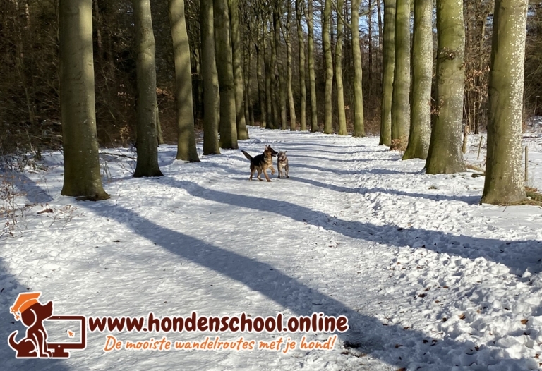 Losloopgebied Echten / Ruinen Drenthe