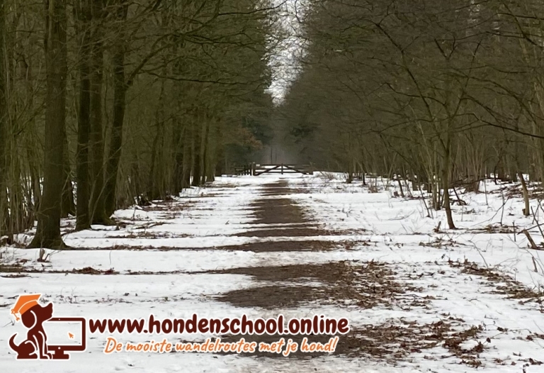 Losloopgebied Sellingerbossen Westerwolde te Sellingen, Groningen